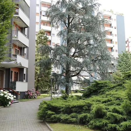 Modern In A Setting